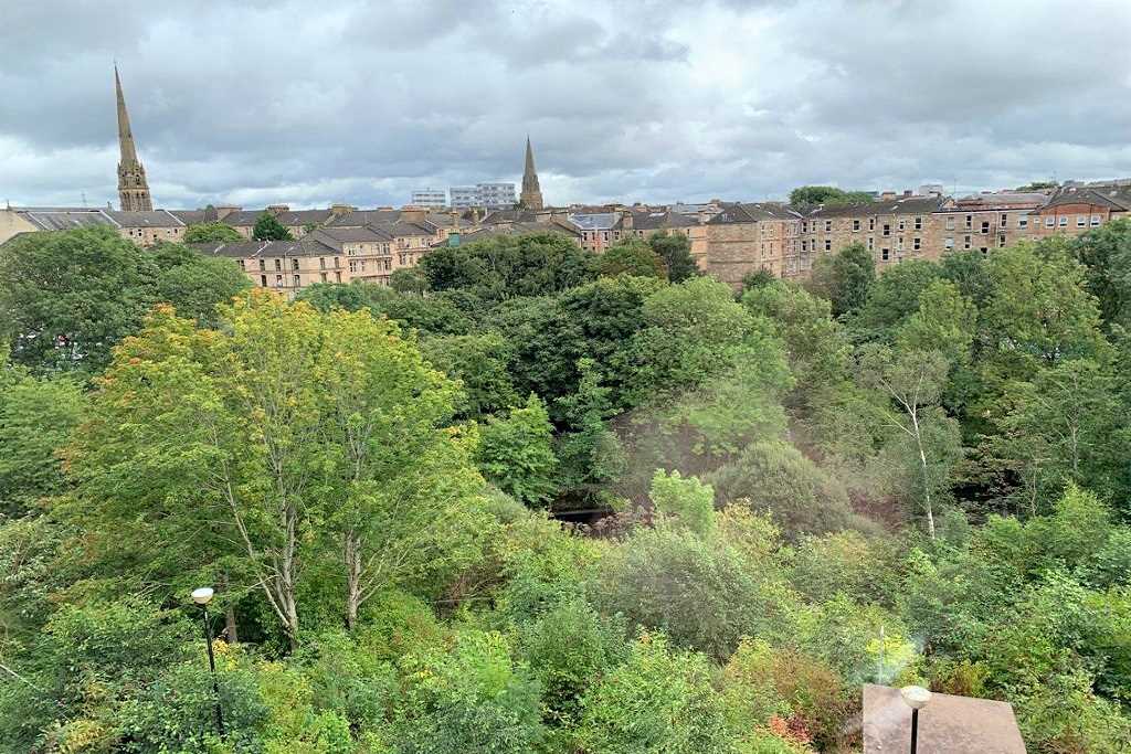 Otago Street - Picture 13